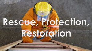 Read more about the article Rescue, Protection, Restoration – June 2nd